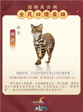 天龙八部私服装备星星